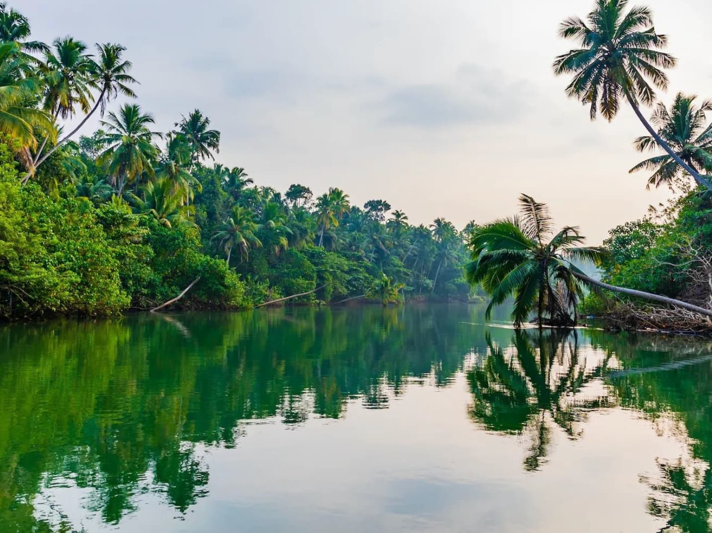 Découverte des backwaters du Kerala