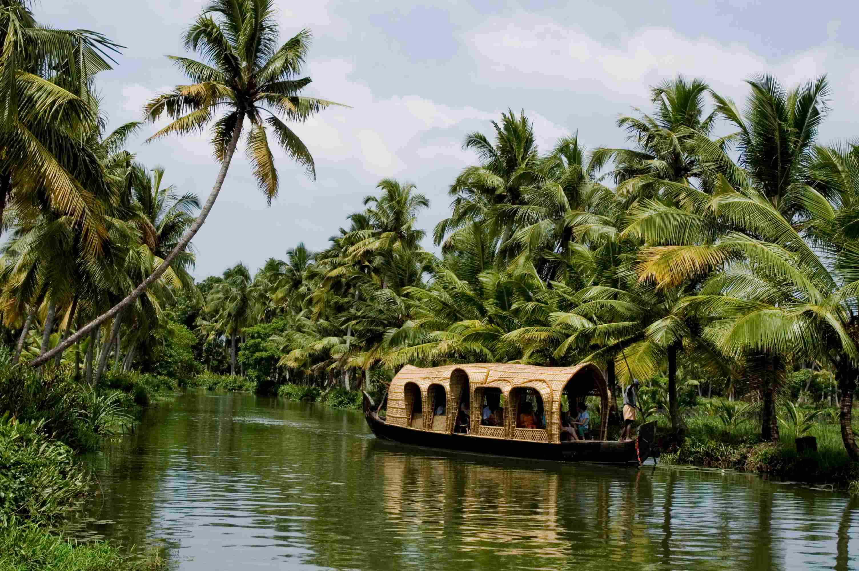 Backwaters du Kerala : une barque traditionnelle glisse entre les cocotiers